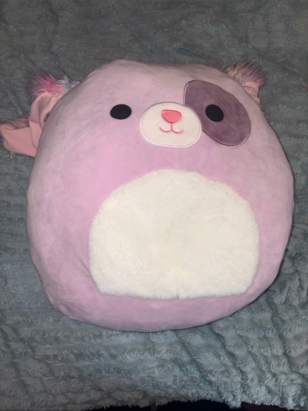 Squishmallows Lavender Bear Plush with Multicolor Logo Tag
